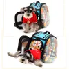 Housses de siège de voiture pour chien clair respirant chat transporteur sac de voyage chiots portables petit petit animal animal de compagnie sac à main transportant des marchandises à l'épaule en plein air