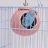 Cage à oiseaux porte-Cage en bois, ornement, Mini perroquet, coquille de noix de coco, petit Pigeon canari, Vogel Speelgoed, Accessoires pour oiseaux DL60NL