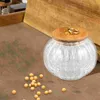 Storage Bottles Pumpkin Glass Jar Dried Fruit Food Jars Kitchen Airtight Cereals Canister Tea Canisters Terrarium Fogger