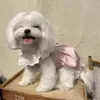 犬のアパレルレースパンプキングループペットかわいいアイスクリームカラースカートスマーザサマー服マルタ猫バブルドレス小さな犬用