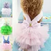 Chien vêtements fille chiot tenues princesse jupe Pet Tutu robe petit harnais vêtements d'été