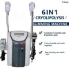 Giles de congélation graisseuse Machine portable 360 ​​Cryo Girses Cryothérapie Équipement de cryothérapie Cool Corps Sculping Cryolipolyse Radio Fréquence Lipolaser Cellulite Retrait