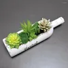 Декоративные цветы симуляция сочные украшения керамическая бутылка зеленые растения горшечные растения Bonsai nordic home