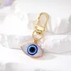 Portachiavi Evil Eye in resina Druzy Drusy ciondolo portachiavi collana donne fortunato turco portachiavi auto portachiavi anello Holde