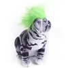 Cat -kostuums aankleden Pet Hair hoofdtooi hondenpruik accessoires voor kattenhonden grappige Halloween -hoofdtooien