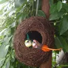 Cages d'oiseau en acier inoxydable Cage de perroquet Piltres petites maisons rondes en bois