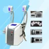 Giles de congélation graisseuse Machine portable 360 ​​Cryo Girses Cryothérapie Équipement de cryothérapie Cool Corps Sculping Cryolipolyse Radio Fréquence Lipolaser Cellulite Retrait