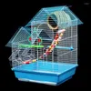 Cages à oiseaux grand plateau de Cage en acier inoxydable métal élevage maisons en bois extérieur Jaula Pajaro Grande fournitures d'alimentation DL60NL