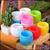 Planters POTS PLASTLIGT Flowerpot Rainbow Plant Pots Botany House Decoration Living Roomventilation Corrosion Flower Pot Resistance DHFO1