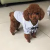 Vêtements de chien Vêtements de chiot doux Robe d'été pour animaux de compagnie pour petits chiens Chats Shih Tzu Sphinx Robes Chemises T-shirt de chat Mascotas Jupe Vêtements