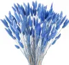 Fleurs décoratives 120 pièces queue herbe bleu queues naturelles pampa séchées pour la maison Boho décor fleur de mariage