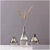 Vasos vaso nórdico vaso de vidro criativo gradiente seco de flores secas desktop ornamentos de decoração em casa plantas de presentes divertidas panelas mobiliando gota dhqyl