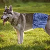 Hundkläder blöjor hane 3 stycken återanvändbar magomslag absorberande för hundar doggies valpar leveranser med vattentätt lager