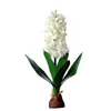 Hyacinto de flor artificial com lâmpada decorativa decorativa de flor falsa decoração