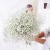 Ghirlande di fiori decorativi 100g Mazzo grande BabysBreath Naturale essiccato conservato Gypsophila Flower Decor Home Wedding Bouquet San Valentino Paniculata 221118