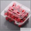 Verpakkingsdozen doorzichtige plastic container Vegetable Fruit Pack Box met haak 500 g/1000 g showcase vensterkast ZER opslag drop leveren DHHXQ