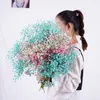 Ghirlande di fiori decorativi 100g Mazzo grande BabysBreath Naturale essiccato conservato Gypsophila Flower Decor Home Wedding Bouquet San Valentino Paniculata 221118