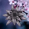 Broches Vintage allemand WWII militaire Edelweiss fleur broche broches émail métal Badges épinglette vestes Jeans bijoux de mode