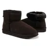 Hiver Mini bottes de neige femmes classique Minis botte noël mode chaussures chaudes châtaigne gris noir sable taille US5-10 pour femme