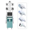 Machine multifonctionnelle de congélation des graisses Cryo, appareil amincissant, Mini CryoVacuum, traitement pour l'élimination du Double menton