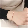 Bracelets de charme bracelet en or de mode pour femmes fille daity bar curseur bracelets cz zircon charme bijoux bijoux gouttes livraison dht6z