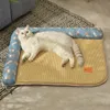 Другие кошки поставляют коврик охлаждение летняя губчатая губка