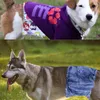 Hundkläder blöjor hane 3 st/set tvättbara magband husdjur leveranser för hundar doggies valpar med mjuk beröring och hög