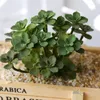 Декоративные цветы мини -зеленые фальшивые растения искусственные суккуленты для DIY домашнее сад