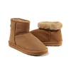 Winter Mini Snow Boots Women Classic Minis Boot Kerstmode Warm schoenen Chestnut Gray Zwart Sand Grootte US5-10 voor vrouw