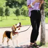 Colliers de chien Corde de traction rétractable automatique durable pour chiot et chat avec lumière LED rechargeable Laisse de ceinture de marche