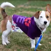 Hundkläder Belly Band för manliga hundar 3st tvättbara wrap blöjor doggies valpar för att förhindra läckage på soffan