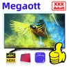 M3U Akıllı TV Ekran Koruyucular Tablet PC Programları Lxtream Link Android Hot Sell Hollanda USA Kanada Avrupa XXX Canlı Serisi