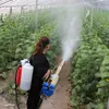 Orchard Greenhouse Insecticistic Prayer Person