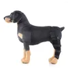 Hundkläder husdjur benstag höger/vänster bakre knähockbandage remmar skydd Joint Bandage Wrap Recovery Supplies