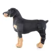 الكلاب Apparel Pet Leg Brace اليمين/اليسار الخلفي ضمادات ضمادات Hock Hock حماية اللوازم الشريط المفصل لضمادات الاسترداد