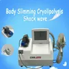 Tengniutech Top Help 2 In One Fat Freezing Machine Cryolipolysis Shock Wave Therapy Instrument For Pain Releif