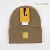 Mens Beanie Klasik Tasarımcı Carhart Bahar Sonbahar Kış Beanies Sıcak Stil Şapka Güney Amerika Erkek ve Kadın Moda Evrensel Örme Kapak Sonbahar Açık Kafatası Cap47