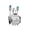 2021 Professional360 Cryo Fat Freeze Cool Slimming Machines RF 40Kボディアームと二重顎治療のためのキャビテーション