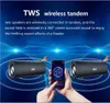 Portable Speakers ZEALOT S30 Wireless Bluetooth Speaker HIFI Stereo Bass Sound Box Support TF Card TWS AUX USB Flash Drive 221119