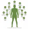 Analyseur de composition de testeur de graisse d'élément de corps bioélectrique numérique de machine amincissante