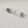 DPGHS010 4,5 Zoll Mini Rauchglas -Nector -Kollektor Kit mit 10 mm Edelstahlspitze und Plastikclip