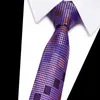 Bow Ties Solid Silk Stripes Neck Tie Red Black White Gul Purple Purple Jacquard Woven Men's Slips f￶r f￶delsedagspresent