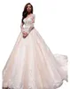 Abiti da sposa a linea Girocollo trasparente Sexy Bottone trasparente sul retro Maniche lunghe Applicazioni plus size Abito da sposa in pizzo vintage Vestios De Novia