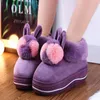 Slipper Winter Women Женщины дома пушистые тапочки Краткие мягкие плюшевые слайды Домашние кроличьи уши теплые платформу туфли пары закрытые хлопок 221121