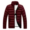 Wholesale- New Trend Black Winter Jacket Men Doudoune Homme Hiver Mens Fashion Slim Fit Stand Collar Slim Wave Cut Cotton Down Jacket