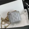 vanity bag small