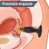 Giocattoli anali Perline rotanti Vibrazione Massaggio alla prostata maschile Plug Butt G-Spot Stimolare il telecomando senza fili Sesso per uomo Gay 221121