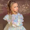 Flower Girls' Sequin White Baby Veet Full Sleeves Flowers Dress Knee Length Dresses Bow Puffy First Communion Christmas Gown 403