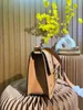 Женские пакеты на плече дизайнер мешков кросс-кухни Lady Messenger-Bags Luxury Phone Swork мягкий кожаный карман 2022 модные кошельки Женская D198P