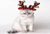 Costumi di gatto Cane Natale Abranto Regolabile grazioso Antlers Funny Accessori per decorazioni per feste per feste